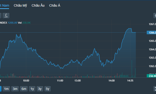 Cầu chủ động kéo giá, cổ phiếu nhỏ tăng rực rỡ
