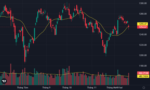 Thanh khoản lên đỉnh 10 phiên, VN-Index trụ vững mốc 1250 điểm