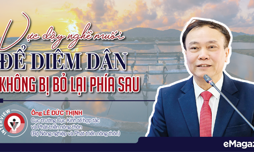 Vực dậy nghề muối để diêm dân không bị bỏ lại phía sau 