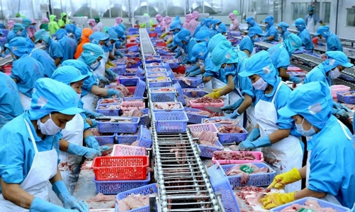 Xuất khẩu thuỷ sản cán đích 10 tỷ USD