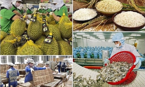 Xuất khẩu nông, lâm, thủy sản phấn đấu đạt 100 tỷ USD 