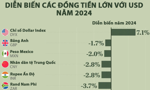 Biến động tỷ giá các đồng tiền lớn so với USD năm 2024