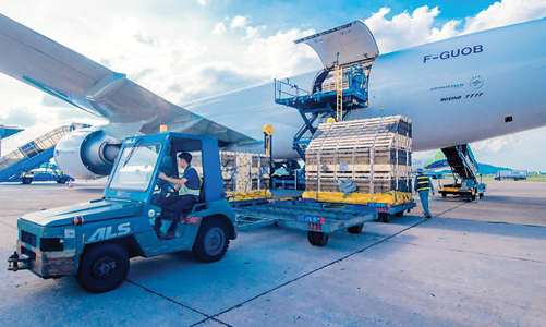 Tạo lực siết chặt liên kết hàng không - du lịch 