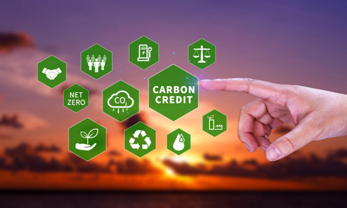 Tập trung chuẩn bị các điều kiện, tổ chức vận hành thị trường carbon trong nước