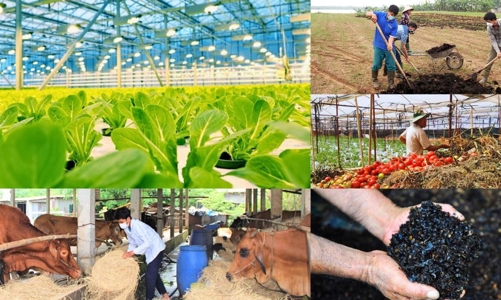 Đề xuất 4 lĩnh vực sẽ thử nghiệm kinh tế tuần hoàn được ưu đãi hỗ trợ vốn xanh, đất đai