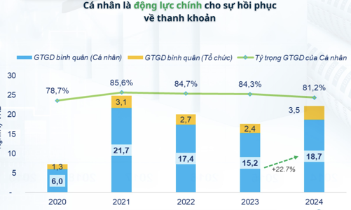 FiinTrade: Nhà đầu tư cá nhân mua ròng gần 78.000 tỷ năm 2024 nhưng phần lớn 