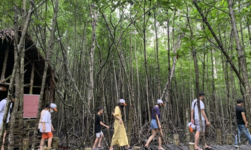 TP. Hồ Chí Minh phát triển du lịch xanh thích ứng với biến đổi khí hậu