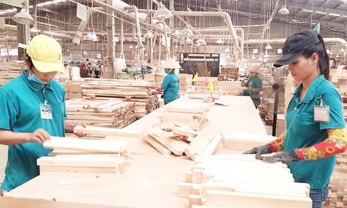Doanh nghiệp gỗ Bình Định đặt mục tiêu xuất khẩu đạt 1,2 tỷ USD trong năm mới 