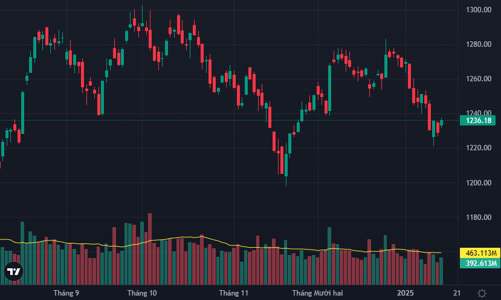 Cổ phiếu vừa và nhỏ nổi sóng, đầu tư công hút dòng tiền