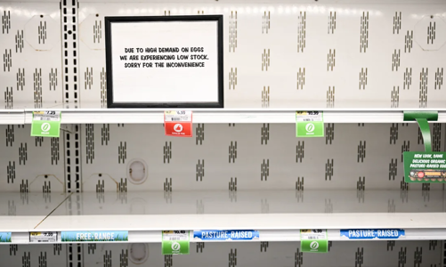 Khan hiếm trứng tại Mỹ