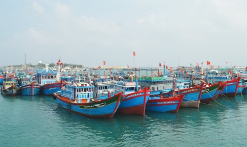 Quyết liệt chống khai thác IUU và gỡ thẻ vàng EC