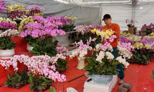 Hội chợ Xuân năm 2025: “Xuân Ất Tỵ -  Vị Tết xưa”