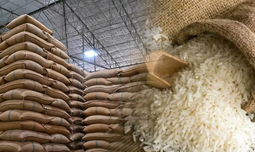 Xuất khẩu gạo sang Singapore tăng mạnh, có 3 mặt hàng chiếm thị phần lớn nhất