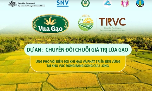 Tiếp bước hành trình xanh: Vua Gạo mở rộng quy mô dự án TRVC trong năm 2025