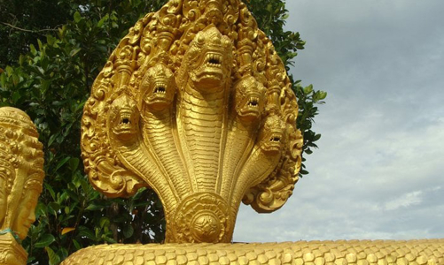 Con rắn gắn với nhà nông, đồng ruộng