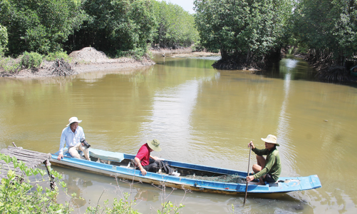 Bán tín chỉ carbon, nông dân giàu lên 