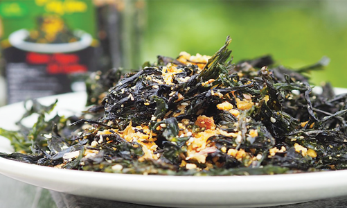 Mong chờ “Vua rong biển” Việt Nam