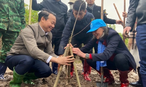 Tết trồng cây 2025: Trồng rừng ngập mặn để bảo vệ người dân ven biển trước thiên tai