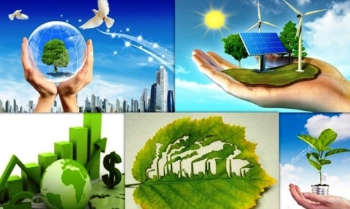 Hải Phòng sẽ ban hành Nghị quyết về chuyển đổi xanh trong quý 1/2025