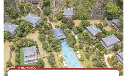 Lừa đảo lập fanpage tích xanh, chạy quảng cáo đặt phòng du lịch đầu năm