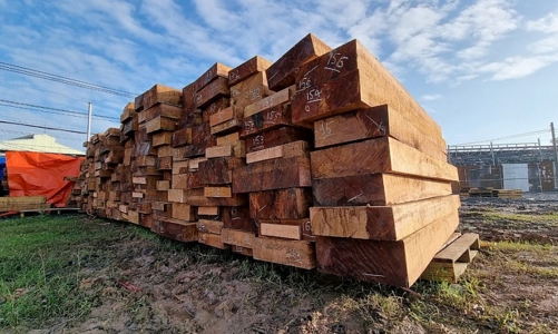 Ngành gỗ Đồng Nai phấn đấu xuất khẩu 2 tỷ USD trong năm 2025