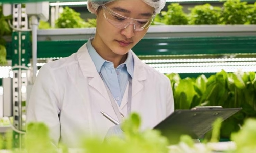 Học bổng khối ngành STEM - trao quyền cho phụ nữ để dẫn đầu trong lĩnh vực STEM