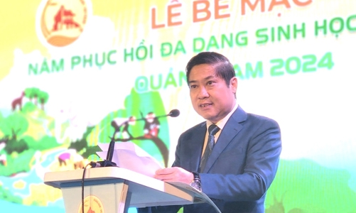 Phát triển Quảng Nam thành một trong các tỉnh tiên phong về kinh tế tăng trưởng xanh