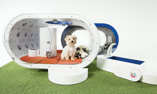 “Công nghiệp” nuôi thú cưng ngày càng phát đạt   