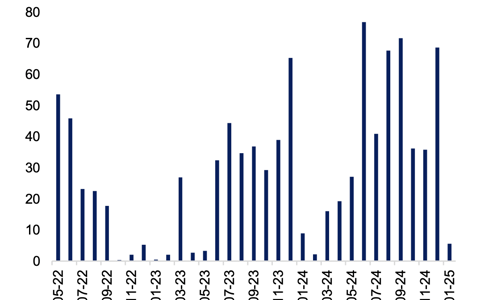 Tháng 1/2025 chỉ có 4 đợt phát hành trái phiếu doanh nghiệp, giá trị giảm mạnh 93% so với cuối năm 2024