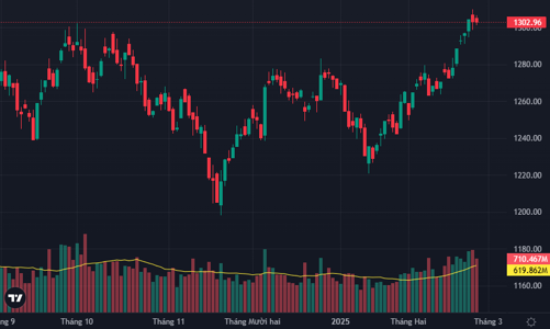Thị trường phân hóa mạnh