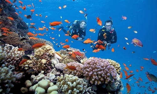 Cơ chế chi trả dịch vụ hệ sinh thái cho biển và đất ngập nước