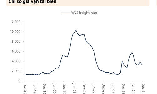 Nhiều bất ổn từ thế giới gây áp lực lên ngành cảng biển Việt Nam
