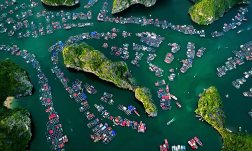 Phát triển các ngành kinh tế biển mới theo hướng xanh, tuần hoàn, carbon thấp