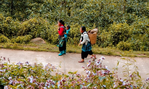 Ngành du lịch đón nhận nhiều tín hiệu tăng trưởng tích cực