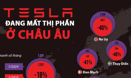 Tesla mất một nửa thị phần ở châu Âu chỉ trong một năm