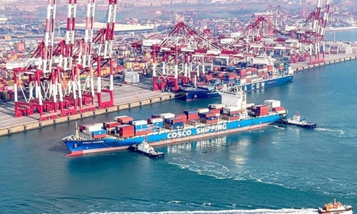 Xuất khẩu vào Trung Quốc: Ứng phó kịp thời với các biến động chính sách 