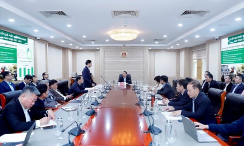 Đưa ngành lâm nghiệp hướng tới tăng trưởng hai con số