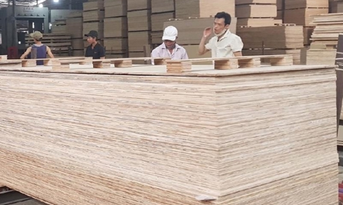 Ngăn chặn sản phẩm gỗ dán mạo nhận xuất xứ Việt Nam xuất khẩu sang Hoa Kỳ