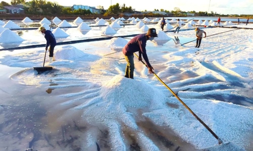 Mở ra hành trình mới cho hạt muối Việt Nam