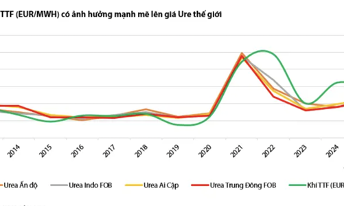 Giá phân bón thế giới dự báo tăng hết quý 1/2025 nhờ giá khí tăng 