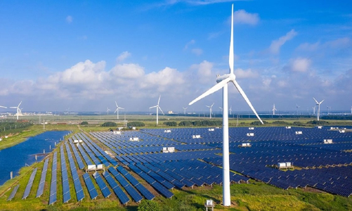 Bổ sung 142 dự án điện mặt trời từng bị thanh tra vào Quy hoạch điện 8 