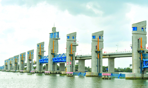 Ngành nông nghiệp đồng bằng sông Cửu Long “gồng mình” ứng phó với hạn mặn