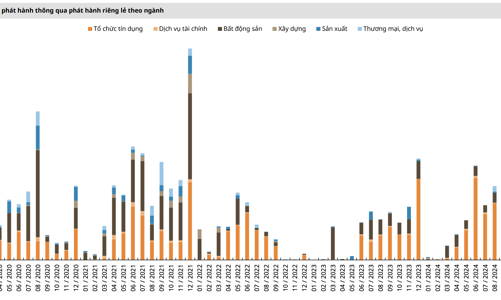 Không có lô trái phiếu riêng lẻ nào được phát hành trong 2 tháng đầu năm 2025
