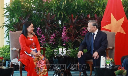 Tổng Bí thư Tô Lâm tiếp các doanh nghiệp tiêu biểu tại Singapore