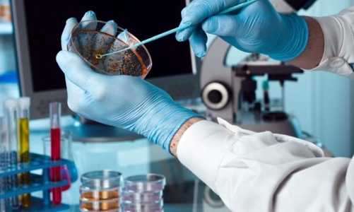 Nhiều hiệp hội ngành hàng gửi đơn lên Tổng Bí thư về vấn đề “hợp quy”