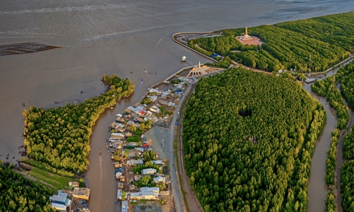 Cà Mau khởi động dự án tín chỉ carbon xanh