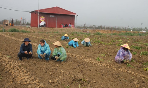 Đối tác công tư phát triển bền vững chuỗi giá trị các mặt hàng nông sản