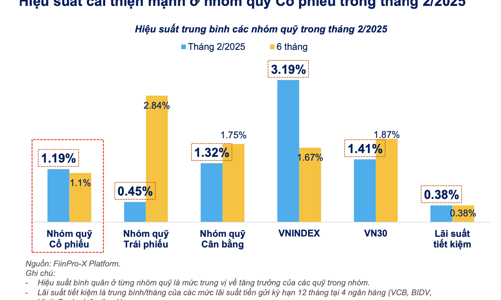 57/68 quỹ cổ phiếu báo lãi trong tháng 2, quỹ nội thắng đậm nhờ 