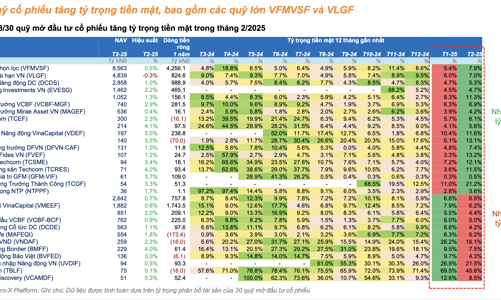 Hiệu suất tích cực nhưng hầu hết các quỹ vẫn gia tăng nắm giữ tiền mặt do lo ngại thuế quan Mỹ 