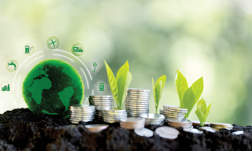 Đề xuất có chính sách bảo lãnh tín dụng cho từng nhóm doanh nghiệp chuyển đổi xanh